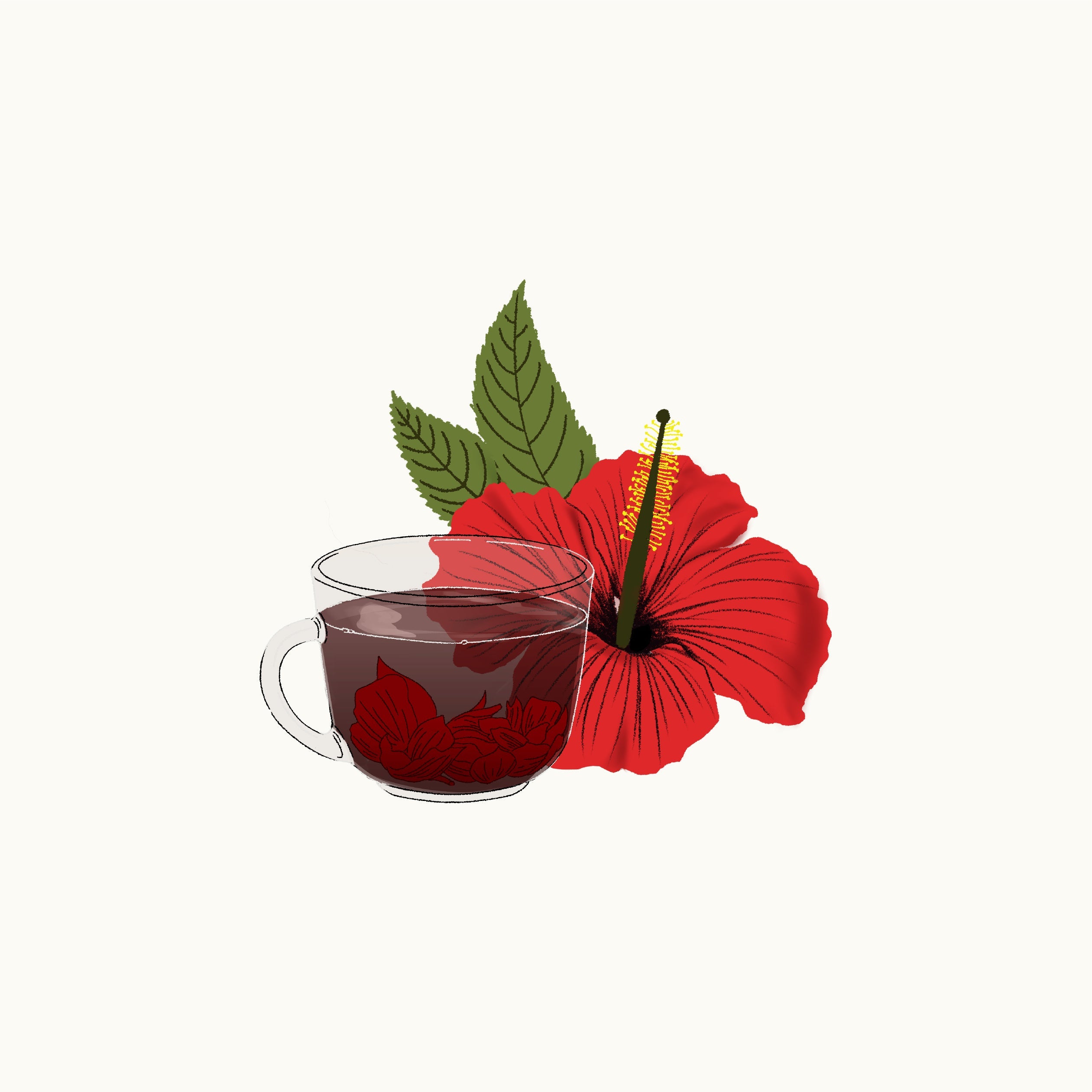 Herbal Teas & Botanicals